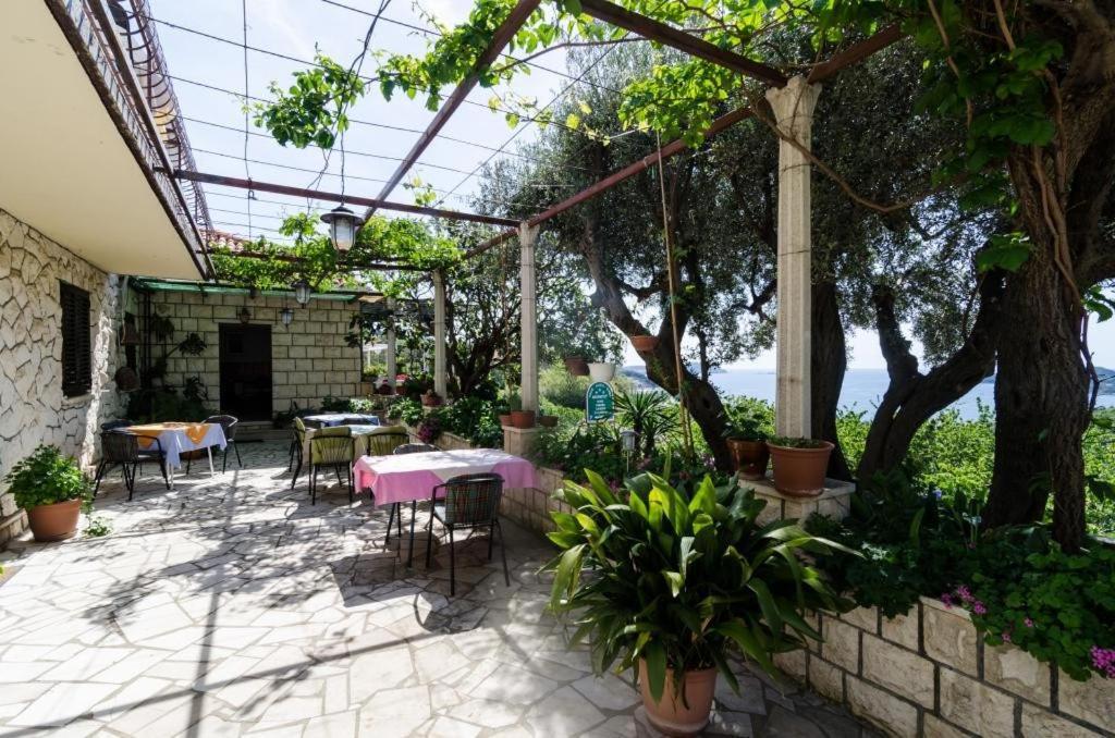 Guesthouse Moretic Orasac Δωμάτιο φωτογραφία