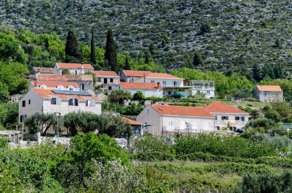 Guesthouse Moretic Orasac Δωμάτιο φωτογραφία